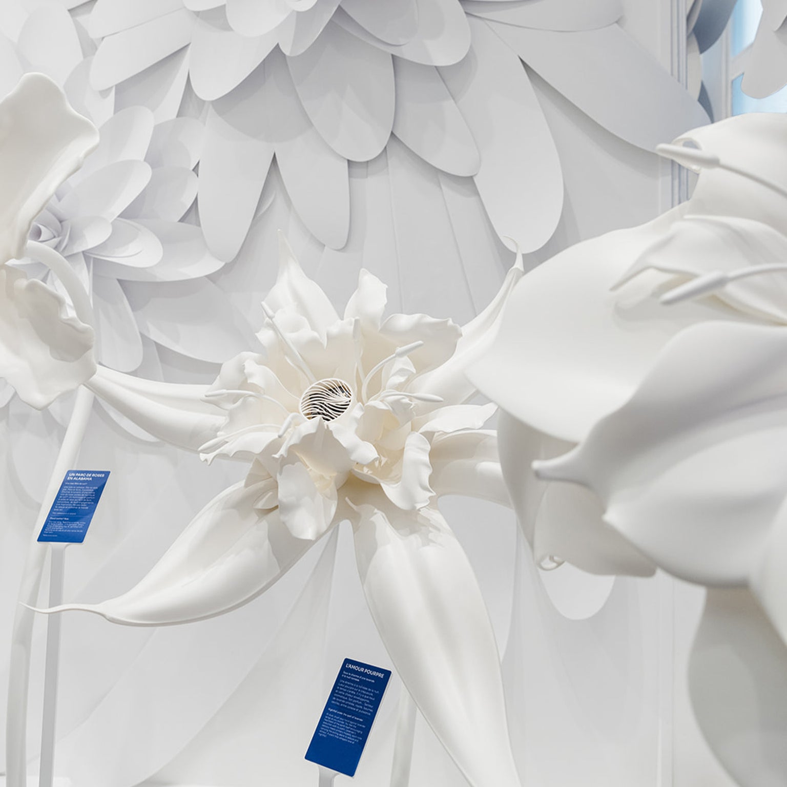 Paris boutique fragrance diffusers