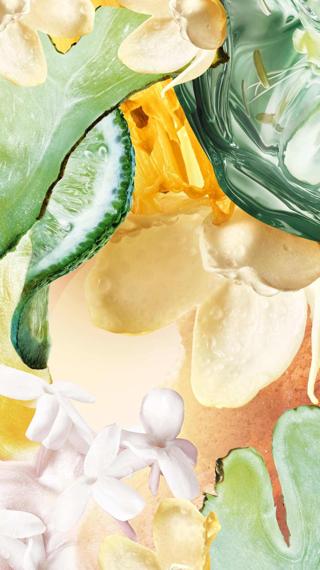 I AM DAWN - Mobile Image