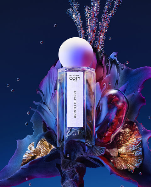 ARISTO CHYPRE view 2