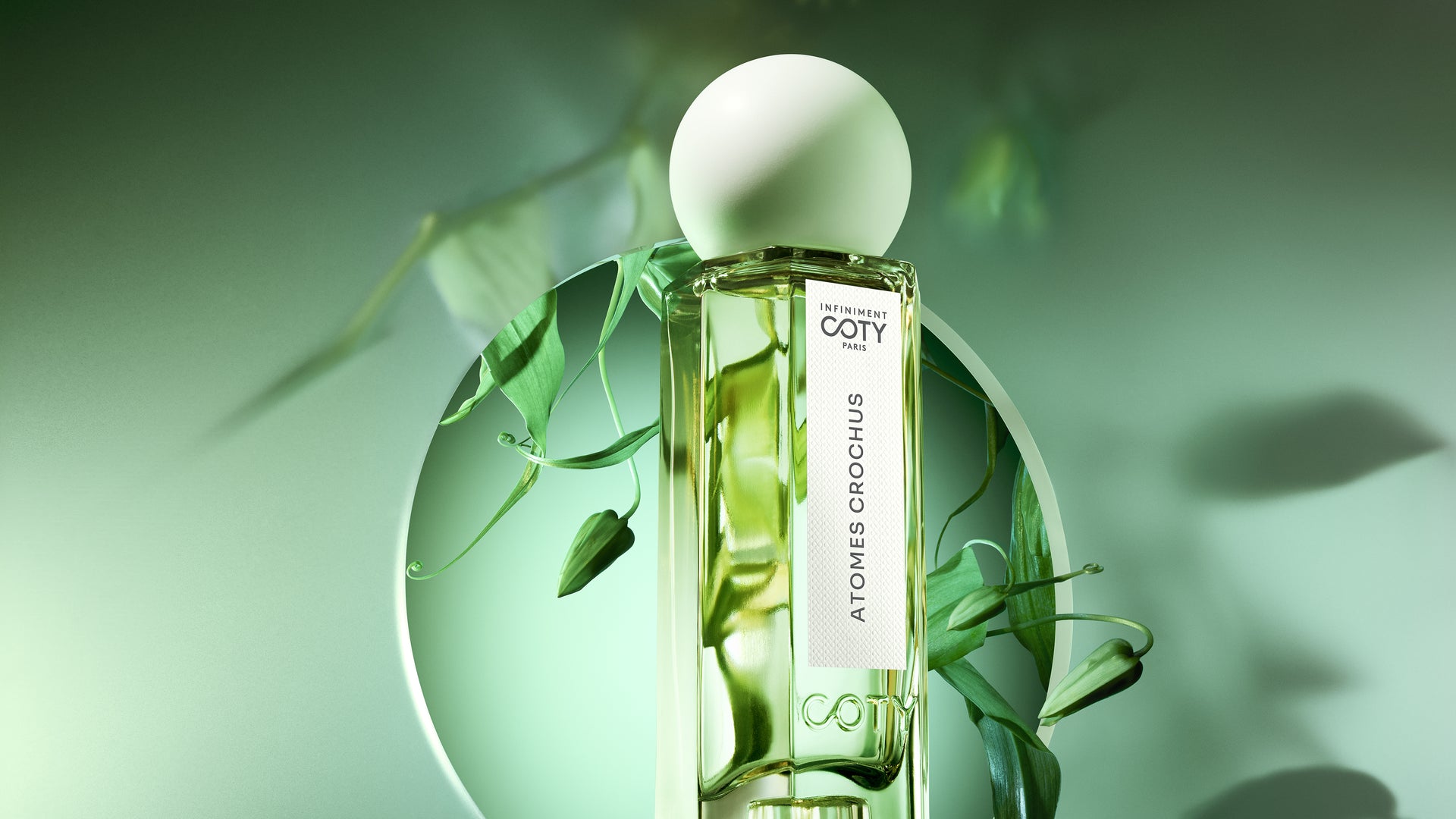 ATOMES CROCHUS - Desktop Image