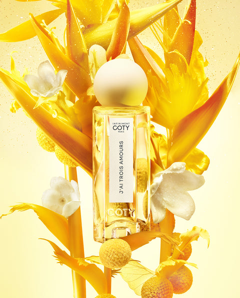 J'AI TROIS AMOURS view 2