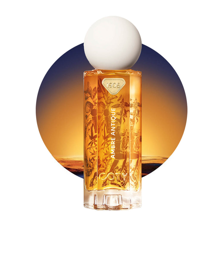AMBRE ANTIQUE