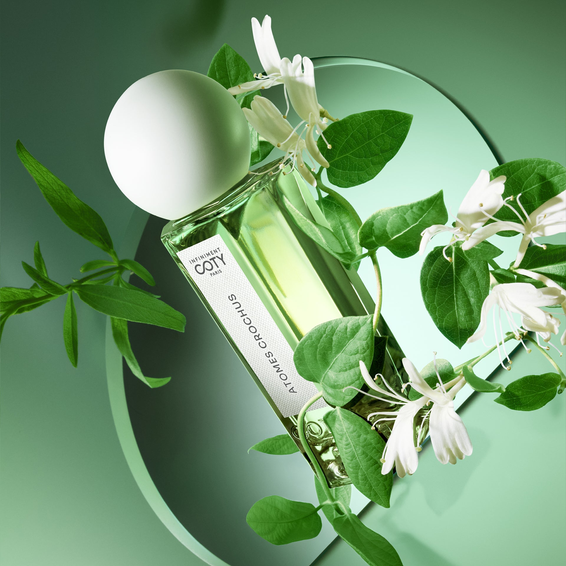 Infiniment Coty Paris | ATOMES CROCHUS Perfume