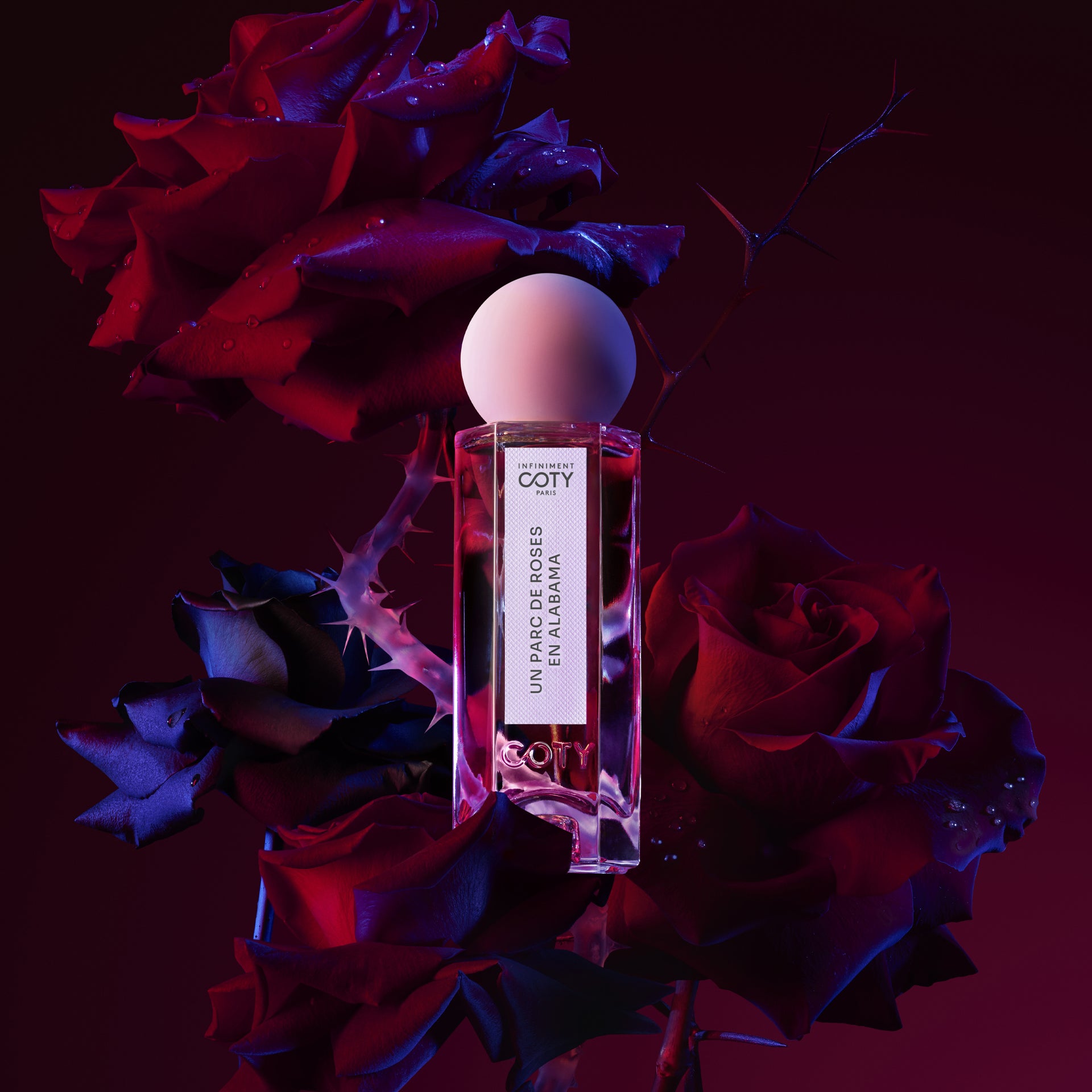 Infiniment Coty Paris | UN PARC DE ROSES EN ALABAMA Perfume