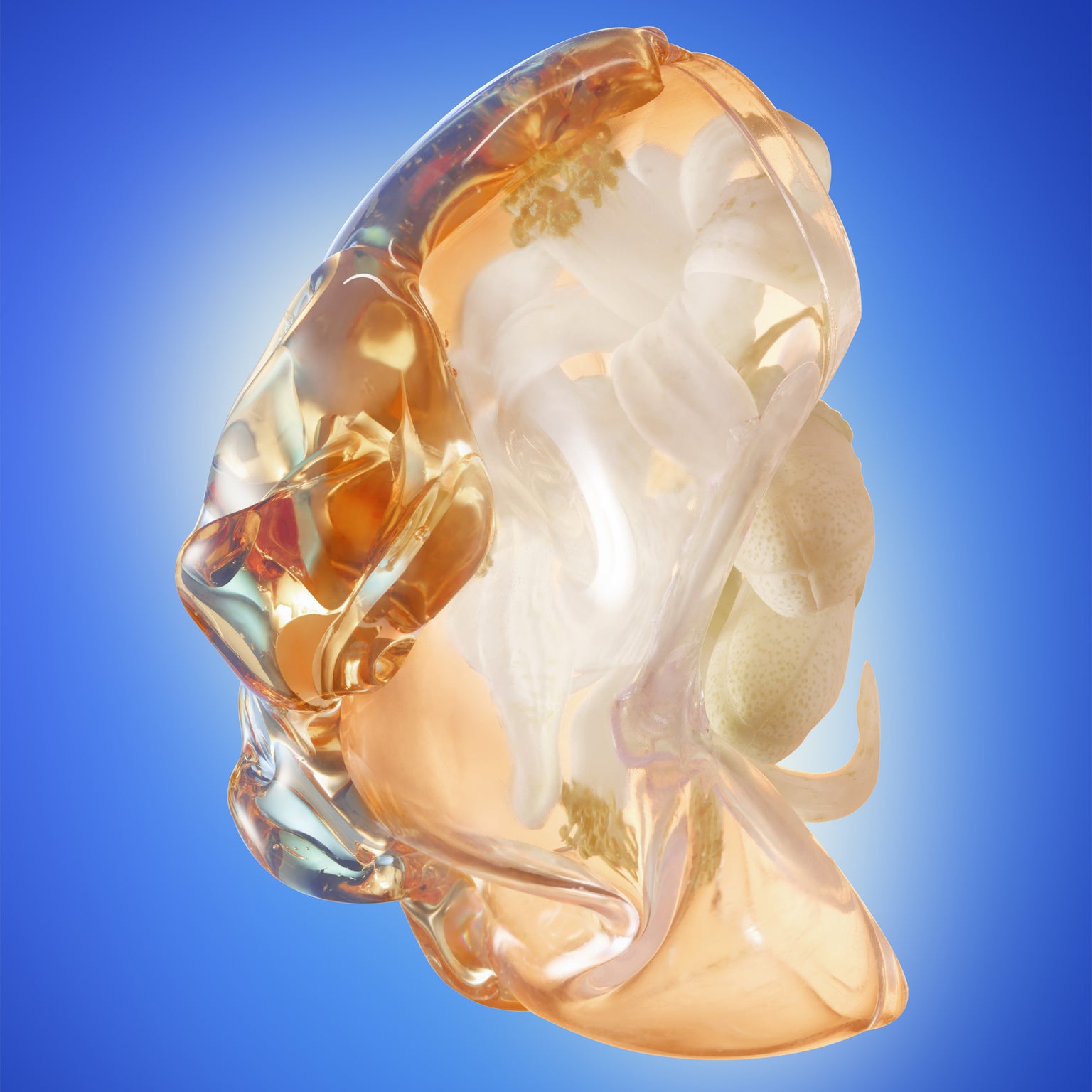 engineering longevity