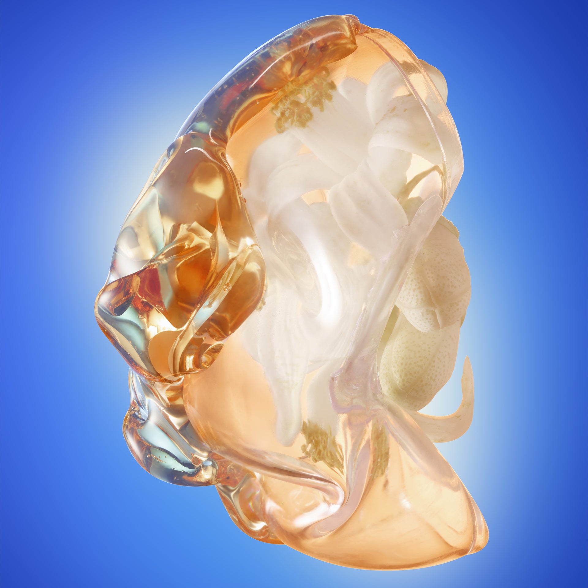 engineering longevity