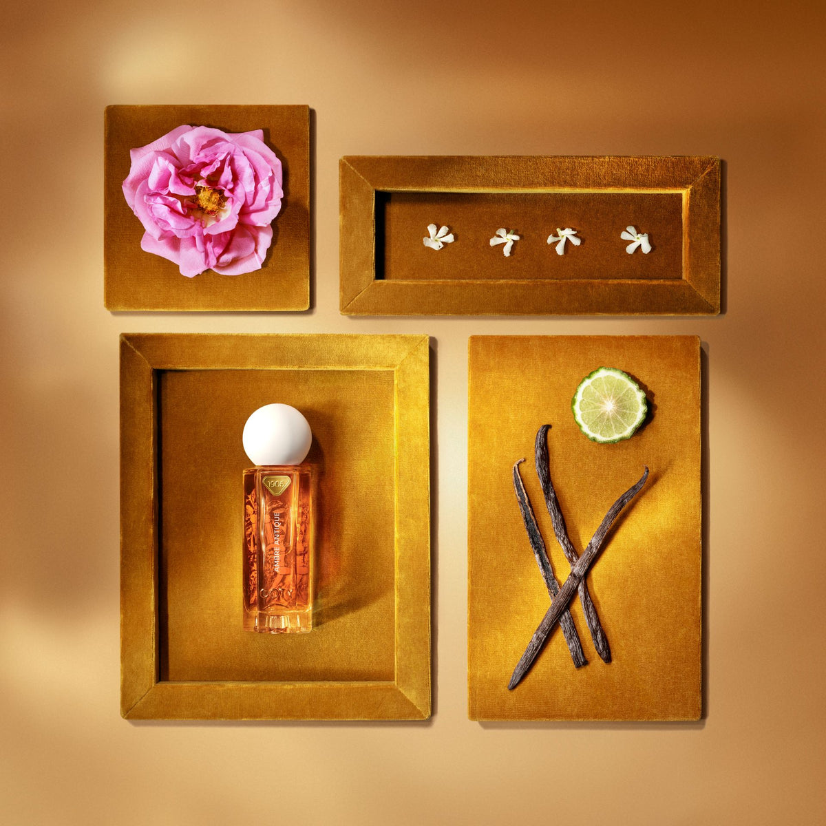 Ambre antique note