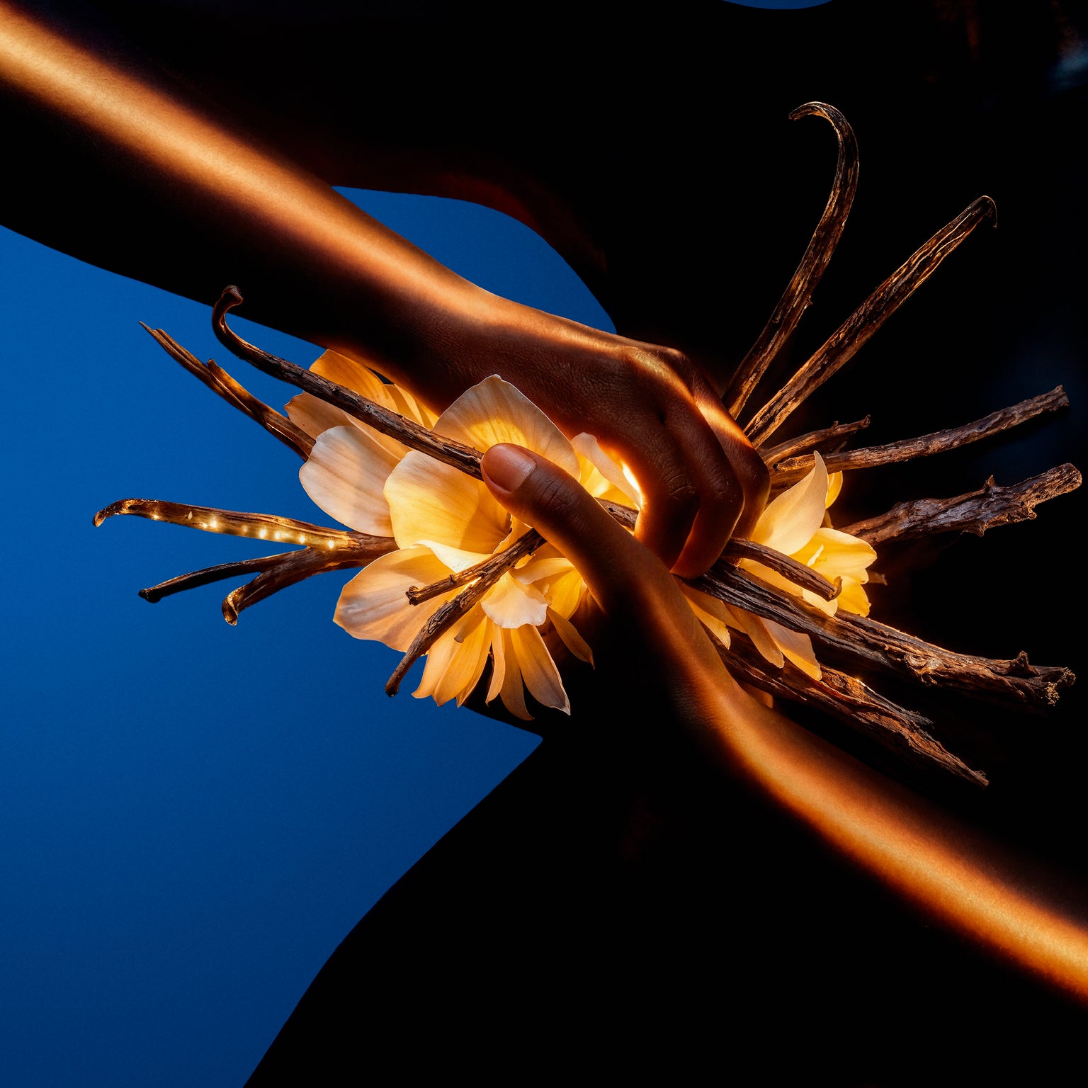 ENCORE UNE FOIS L'OSMIUM - Extrait de parfum - Image 2