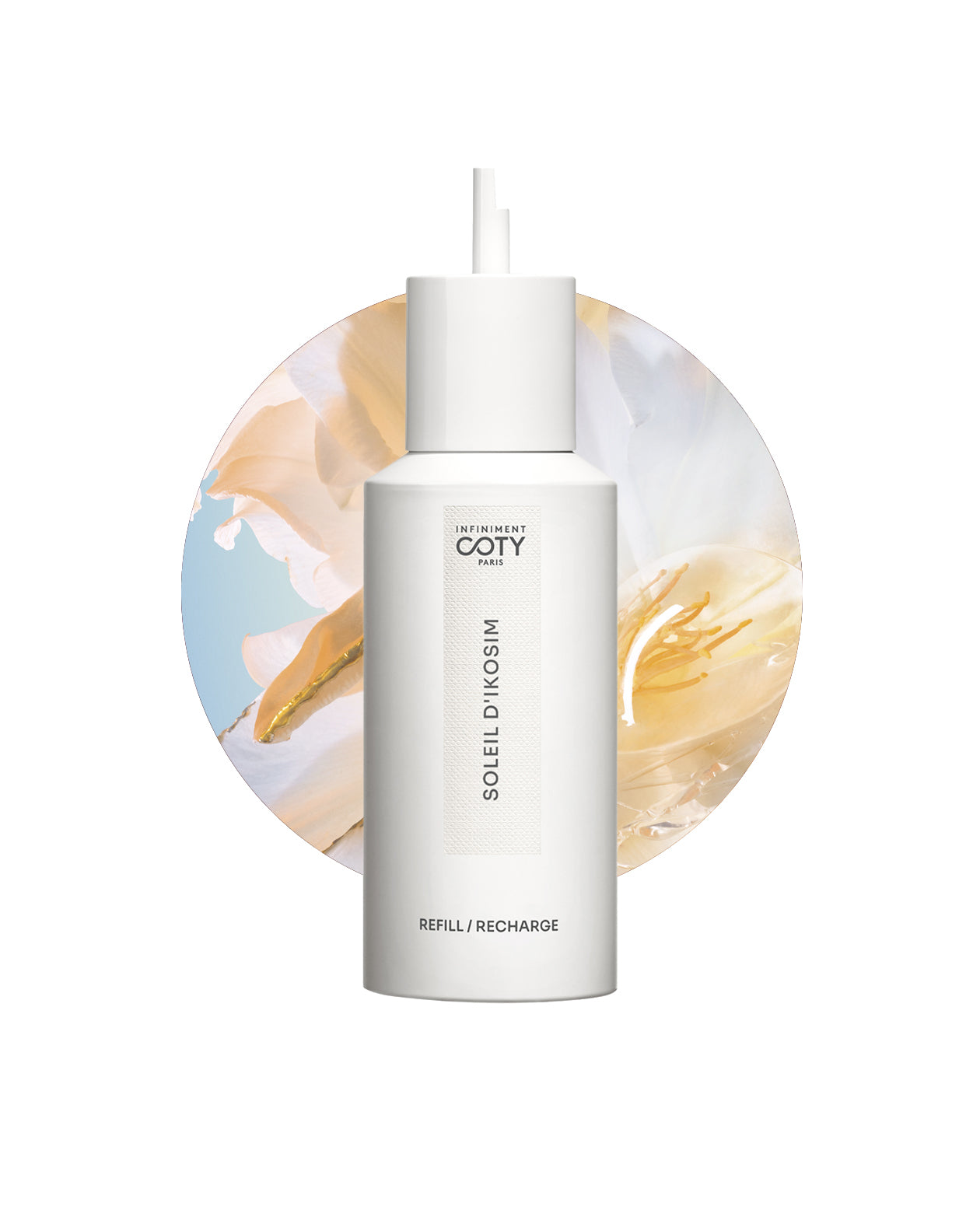 Search: 13 results found for ''